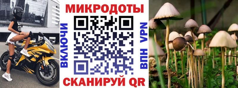 магазин  наркотиков  Ишимбай  Галлюциногенные грибы мицелий 